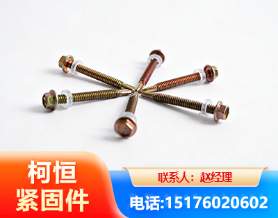 郴州六角钻尾丝